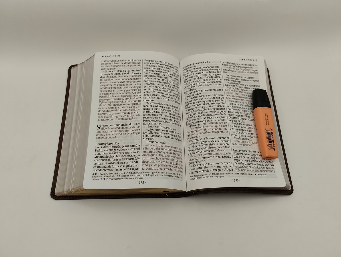 BIBLIA NTV LETRA GIGANTE COLOR CAFE - Image 2