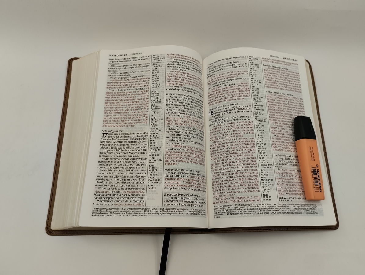 BIBLIA NTV CAFE LETRA GRANDE - Image 2