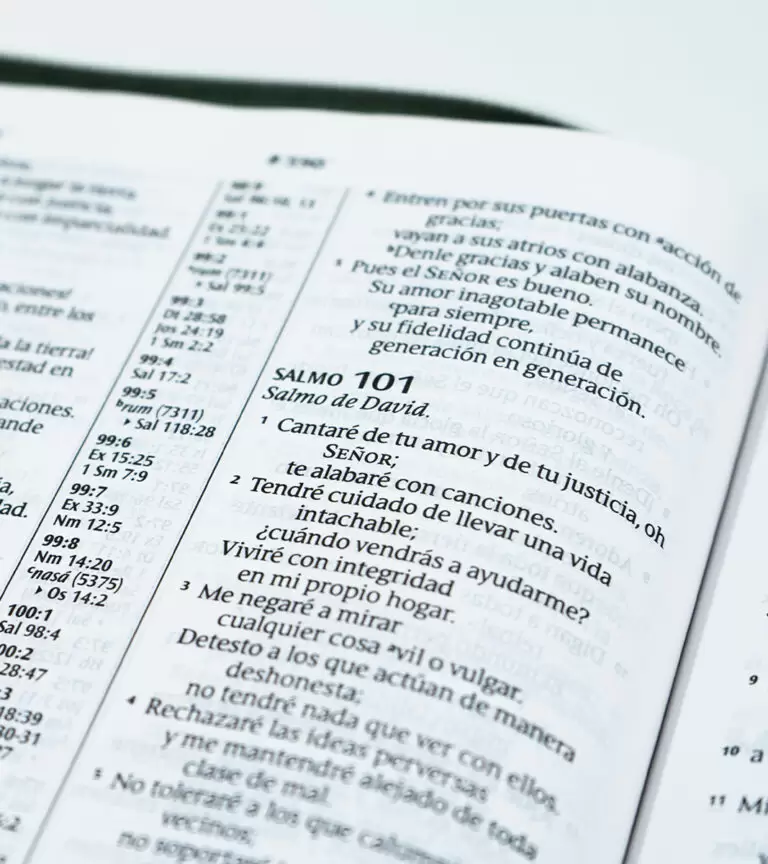 BIBLIA NTV LETRA GRANDE CON CIERRE - Image 3