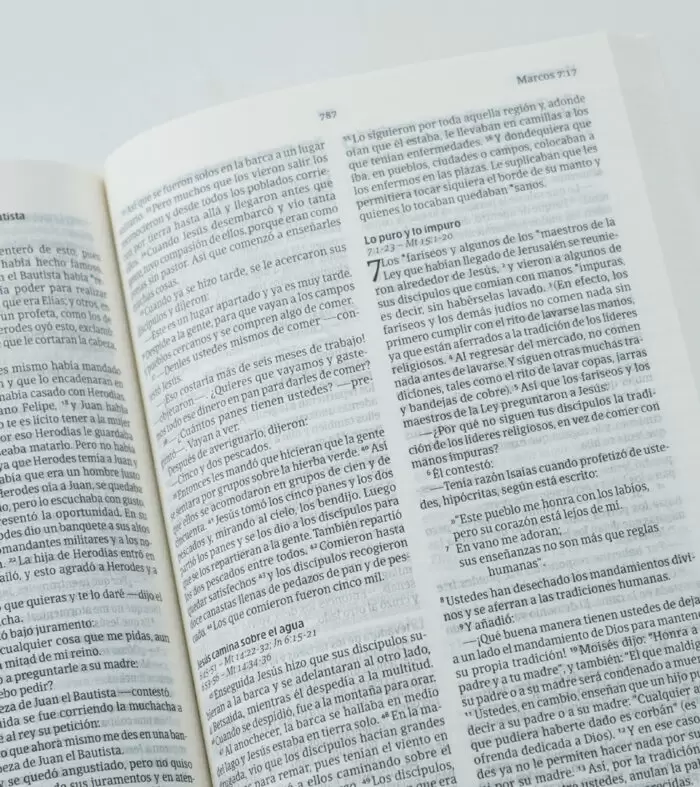 BIBLIA NVI PASTA SUAVE JUVENIL - Image 3