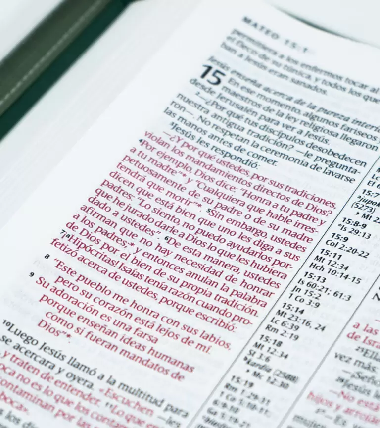 BIBLIA NTV LETRA GRANDE CON CIERRE - Image 2