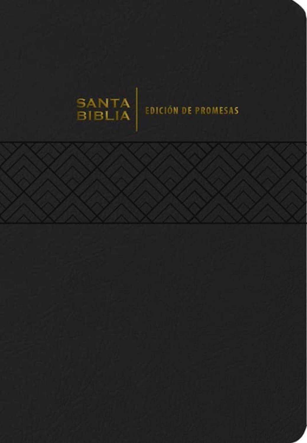 BIBLIA RV1960 PROMESAS LETRA GIGANTE - Image 16
