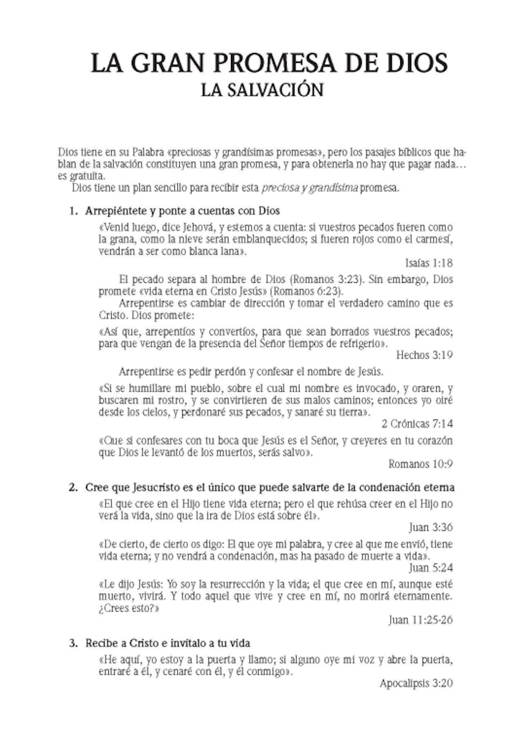 BIBLIA RV1960 PROMESAS LETRA GIGANTE - Image 9