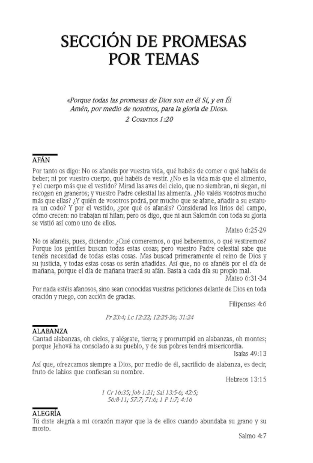 BIBLIA RV1960 PROMESAS LETRA GIGANTE - Image 10