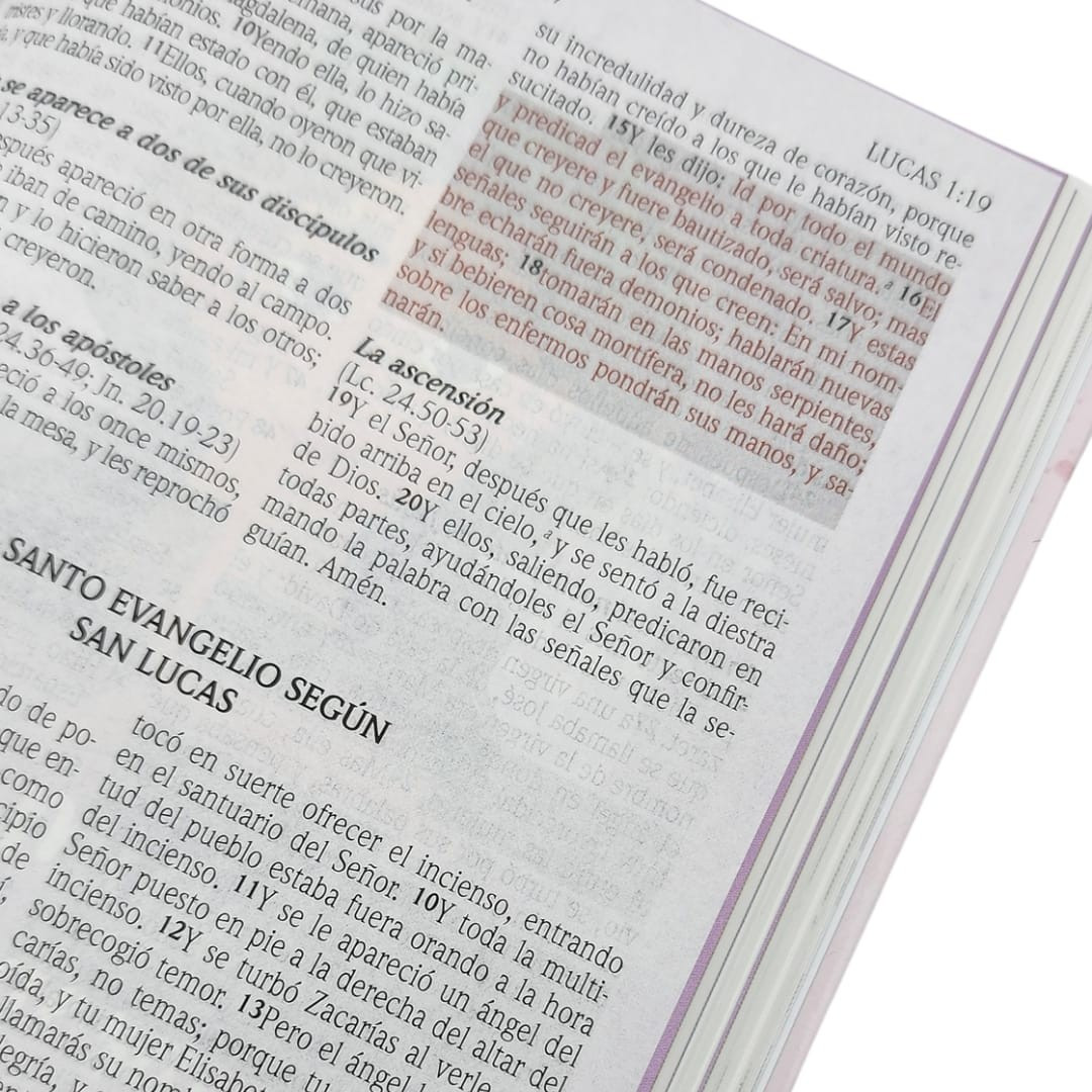 BIBLIA RV1960 PROMESAS PARA NIÑAS TAPA DURA - Image 7