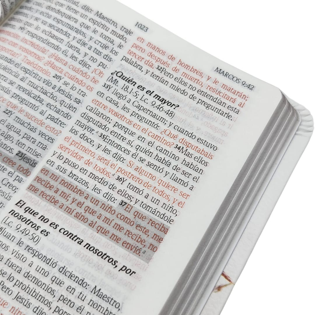 BIBLIA RV1960 DE PROMESAS FLORAL BOLSILLO - Image 7
