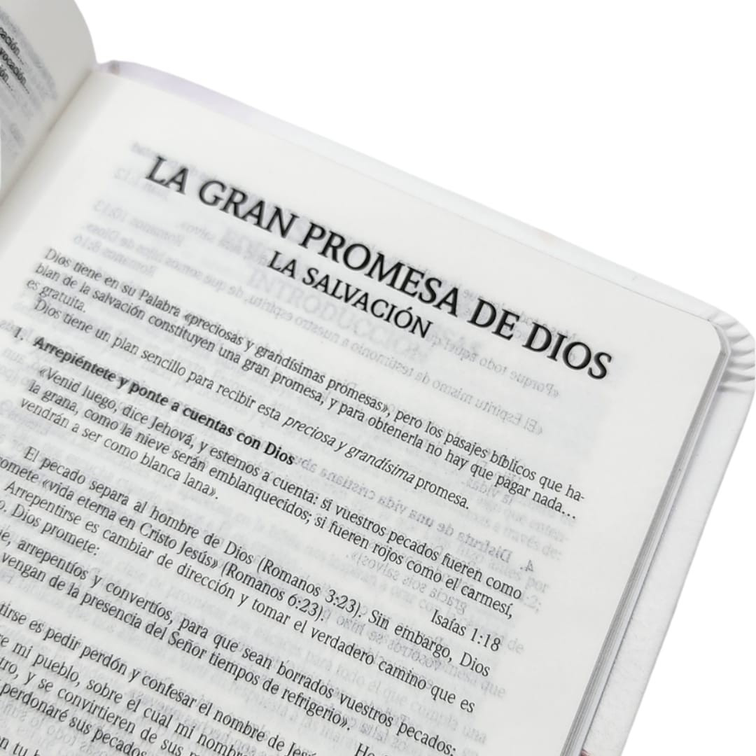 BIBLIA RV1960 DE PROMESAS FLORAL BOLSILLO - Image 4