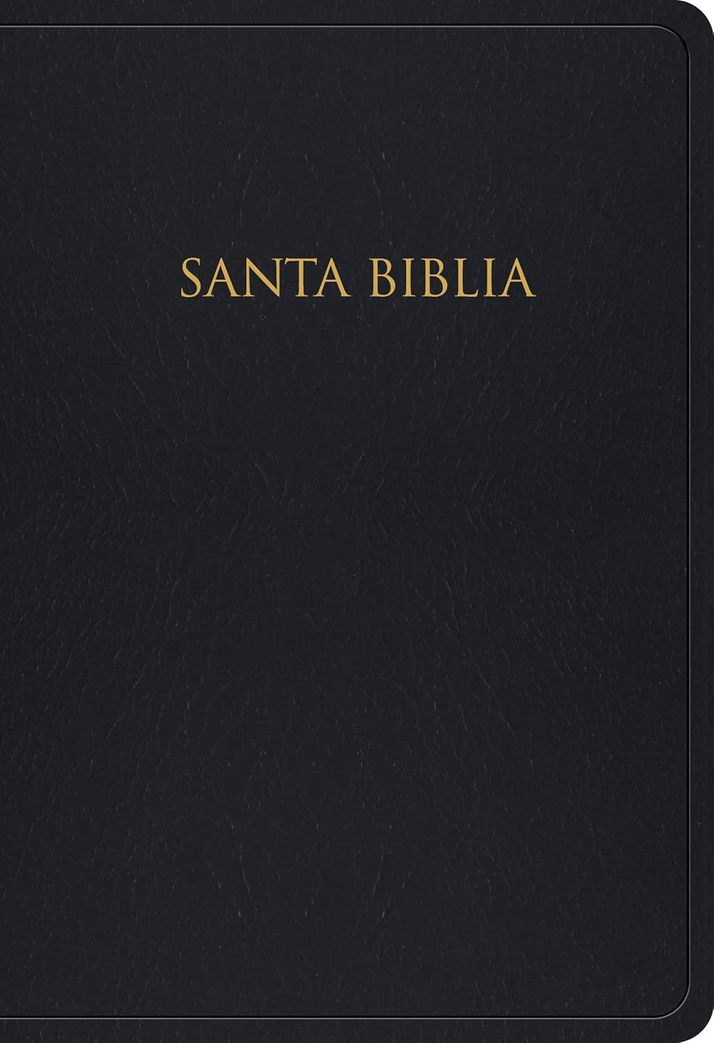 BIBLIA RV1960 NEGRA LETRA 8 PTS - Image 6