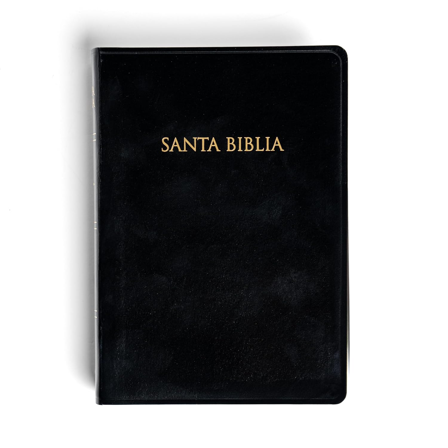 BIBLIA RV1960 NEGRA LETRA 8 PTS - Image 2