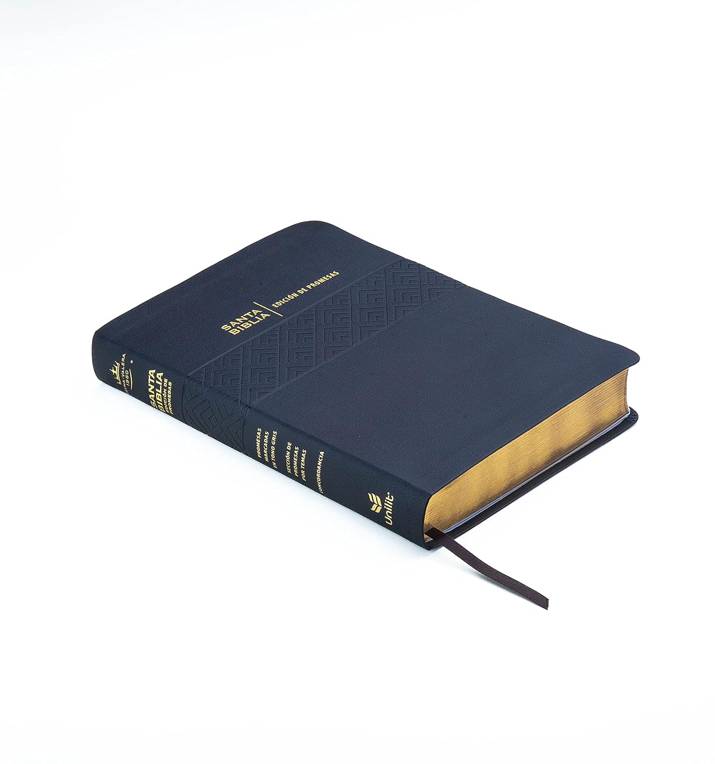BIBLIA RV1960 PROMESAS LETRA GIGANTE - Image 5