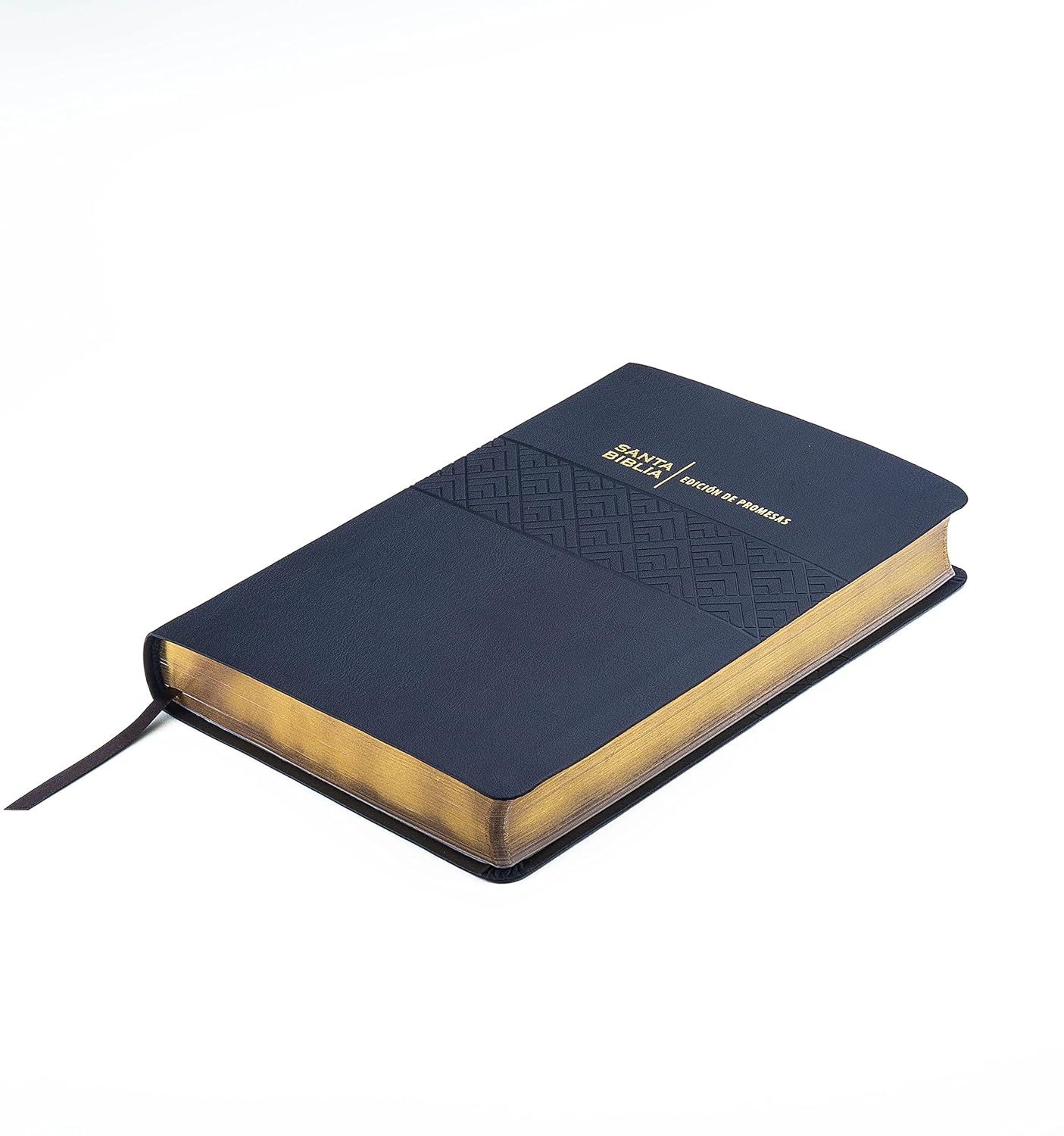 BIBLIA RV1960 PROMESAS LETRA GIGANTE - Image 14
