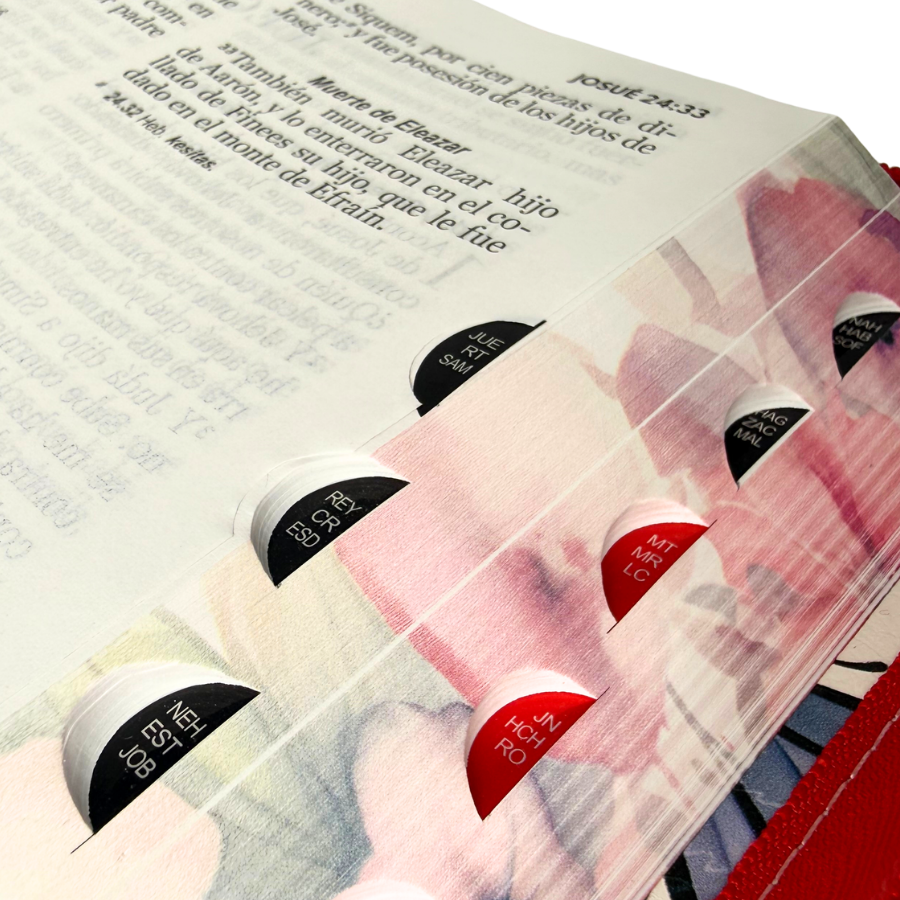 BIBLIA RV1960 LETRA GRANDE CON CIERRE - Image 3