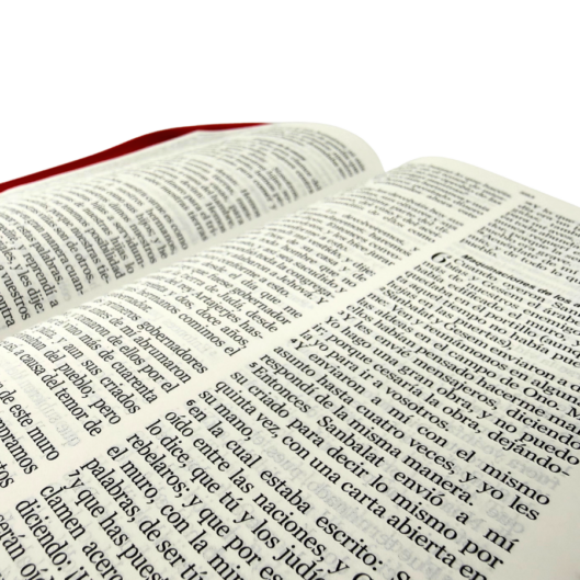 BIBLIA RV1960 LETRA GRANDE CON CIERRE - Image 2