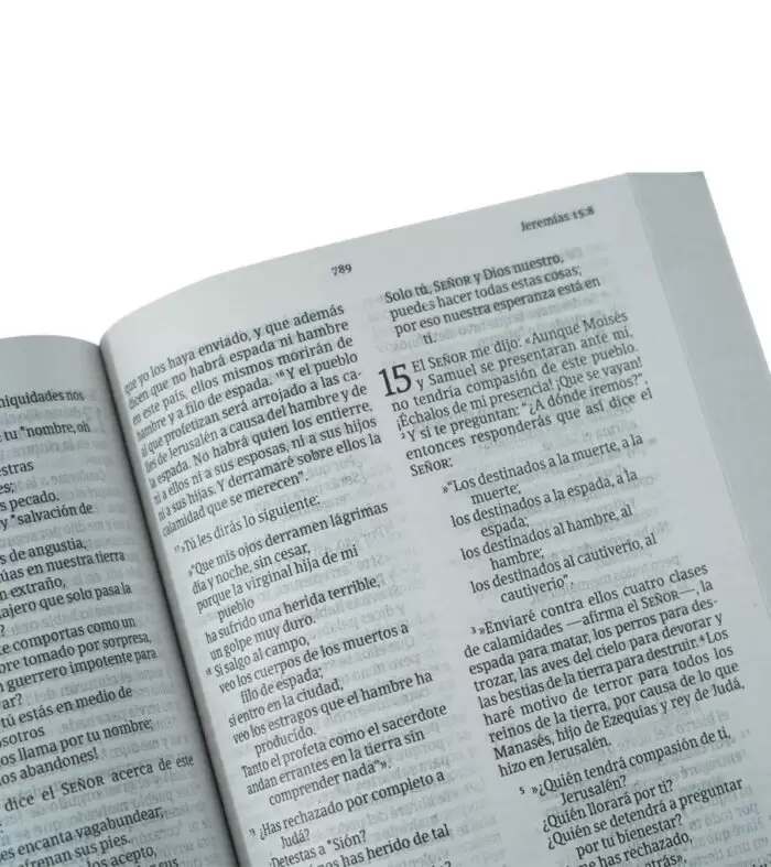 BIBLIA NVI LETRA GRANDE PASTA SUAVE - Image 3