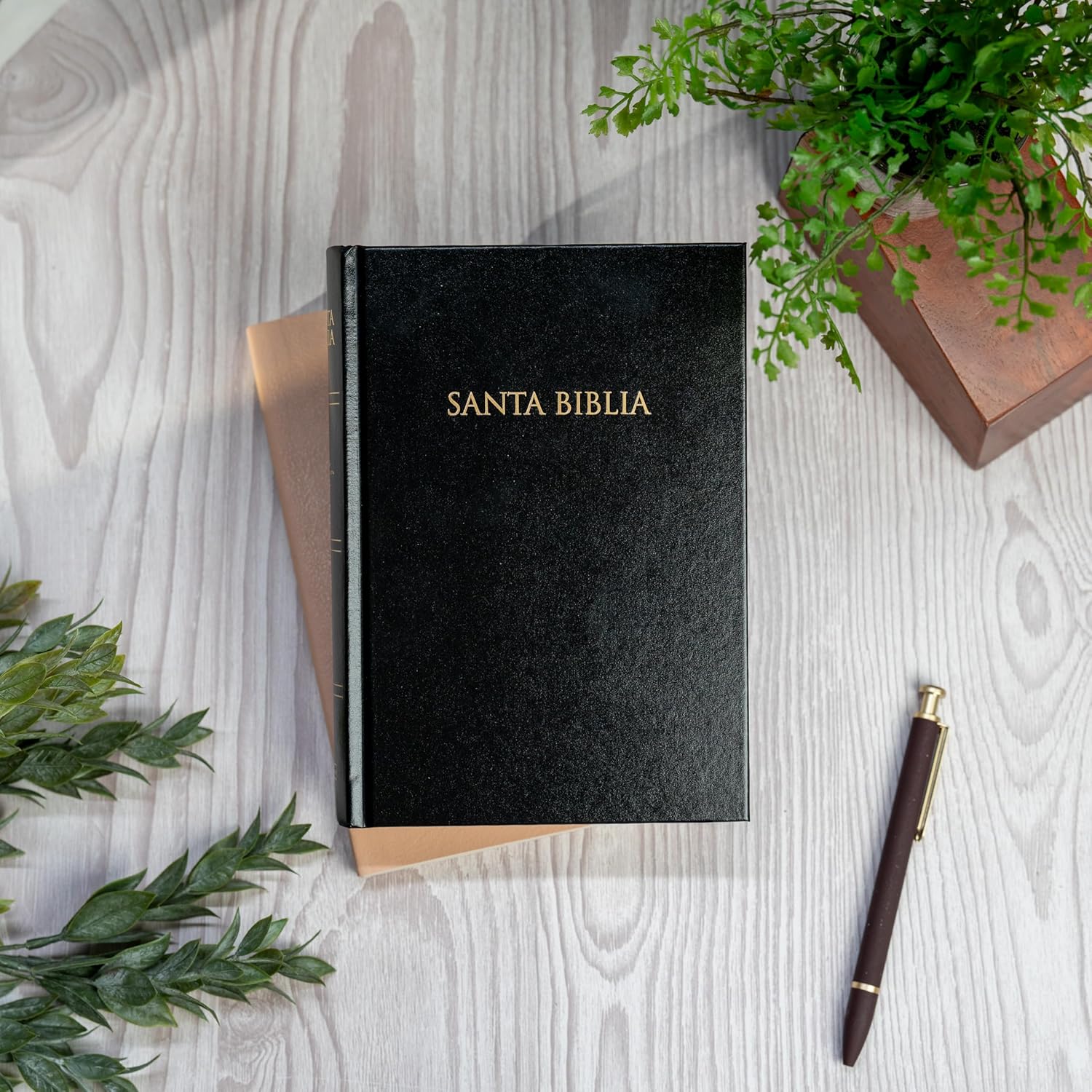 BIBLIA RV1960 NEGRA LETRA 8 PTS - Image 4