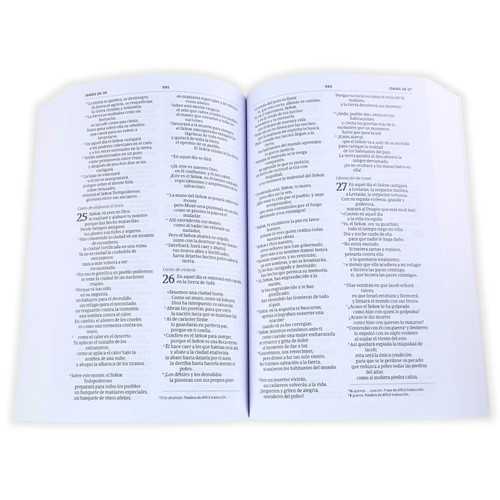 BIBLIA NVI PASTA SUAVE LETRA 8.5 PTS - Image 3