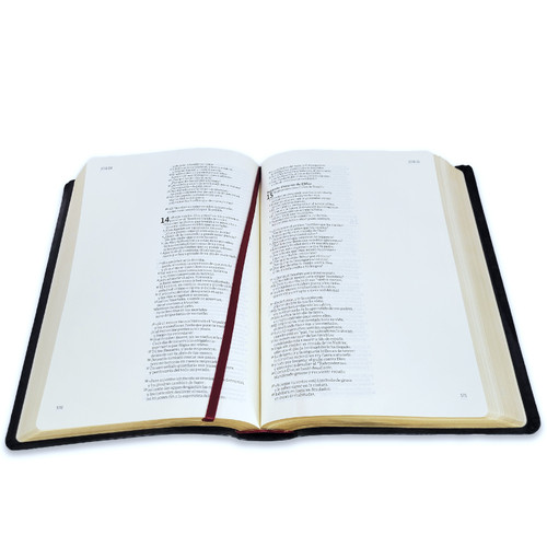BIBLIA NVI DE APUNTES PERSONALES COLOR NEGRO - Image 4