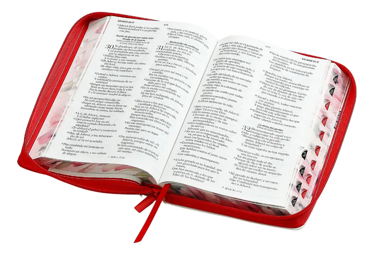 BIBLIA RV1960 LETRA GRANDE CON CIERRE - Image 4
