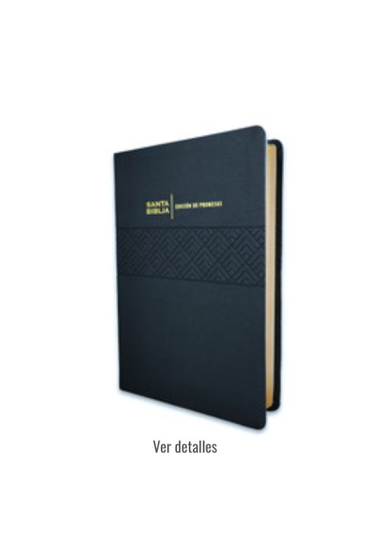 BIBLIA RV1960 PROMESAS LETRA GIGANTE