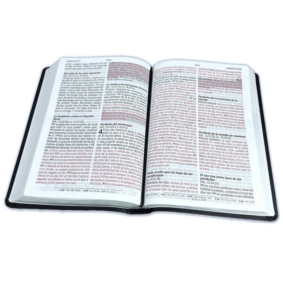 BIBLIA RV1960 PROMESAS LETRA GIGANTE - Image 3
