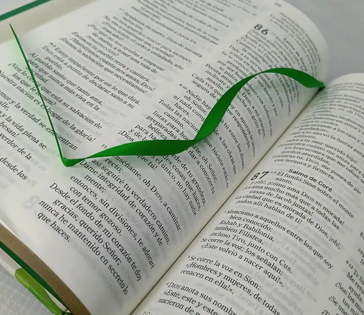 BIBLIA EL MENSAJE PASTA DURA FLORAL - Image 8