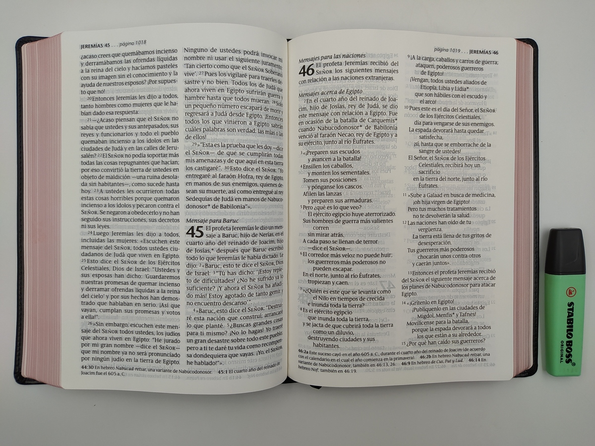 BIBLIA NTV CLASICA LETRA GIGANTE - Image 6
