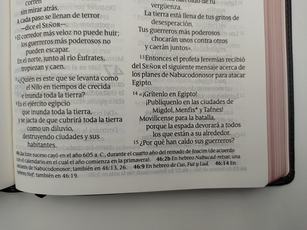 BIBLIA NTV CLASICA LETRA GIGANTE - Image 5