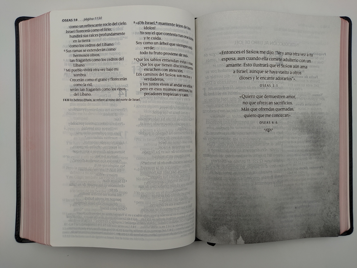 BIBLIA NTV CLASICA LETRA GIGANTE - Image 4