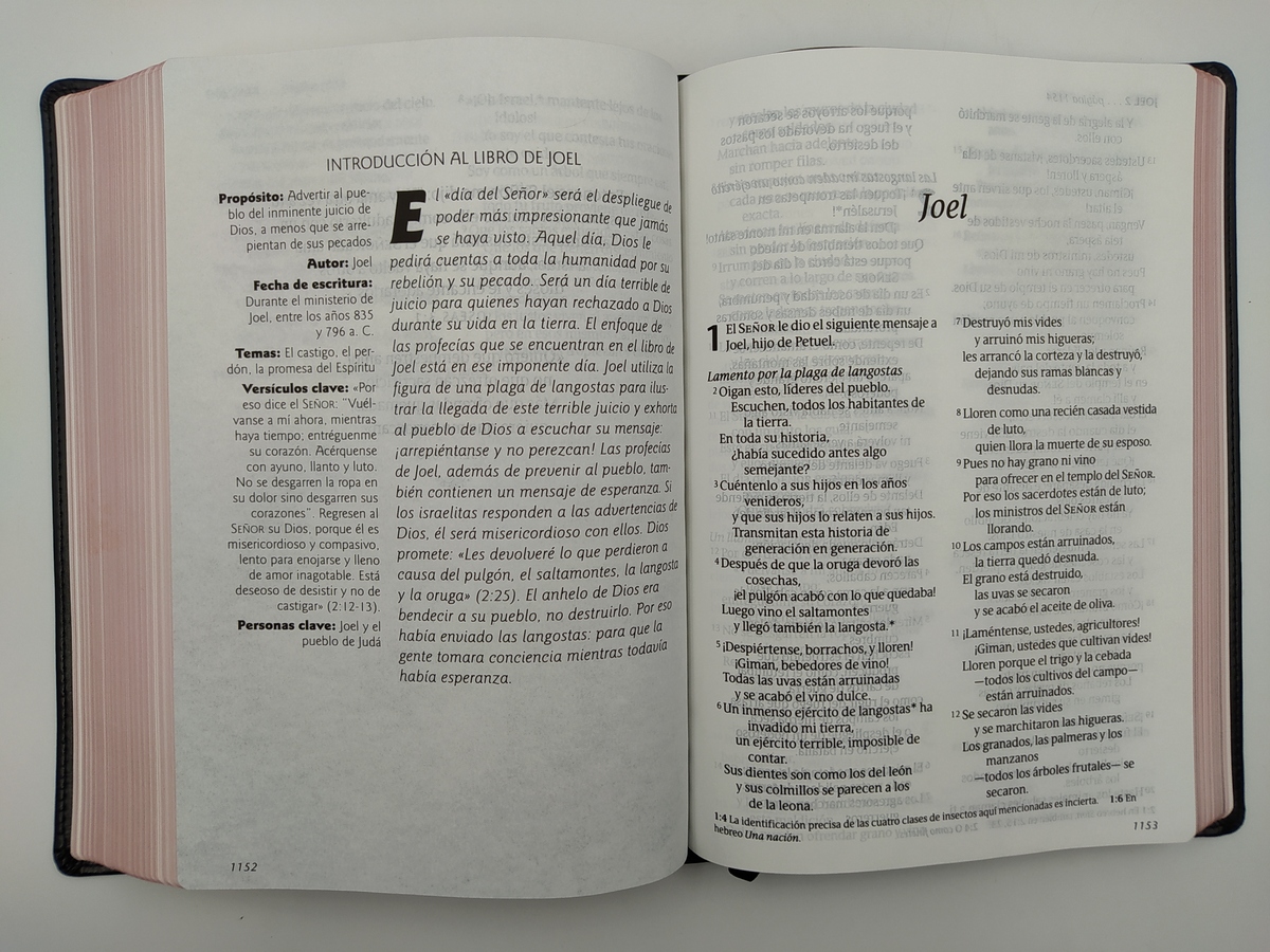 BIBLIA NTV CLASICA LETRA GIGANTE - Image 3