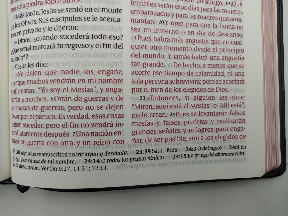 BIBLIA NTV CLASICA LETRA GIGANTE - Image 2
