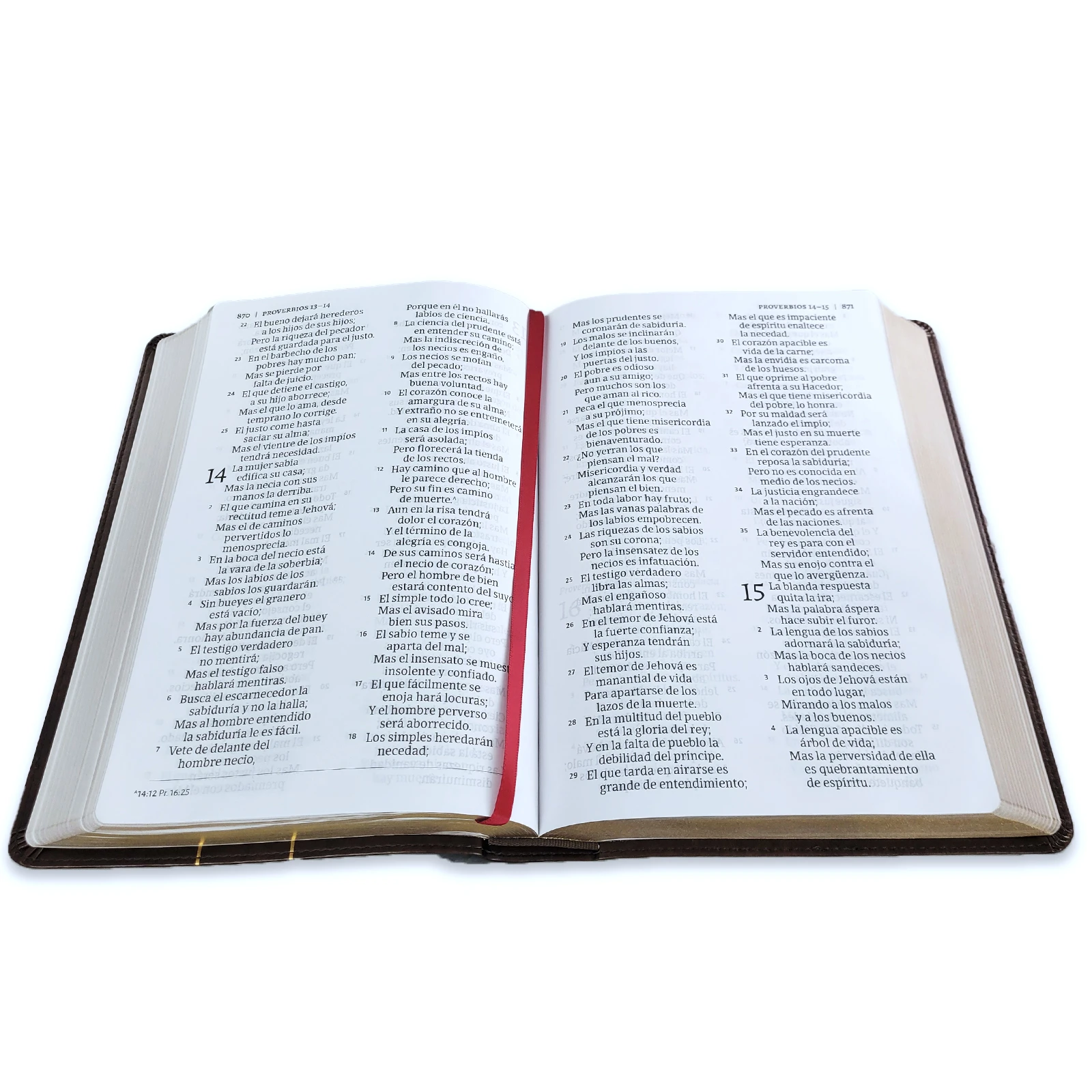 BIBLIA RVR1960 CREDOS Y CONFESIONES LETRA GRANDE - Image 6