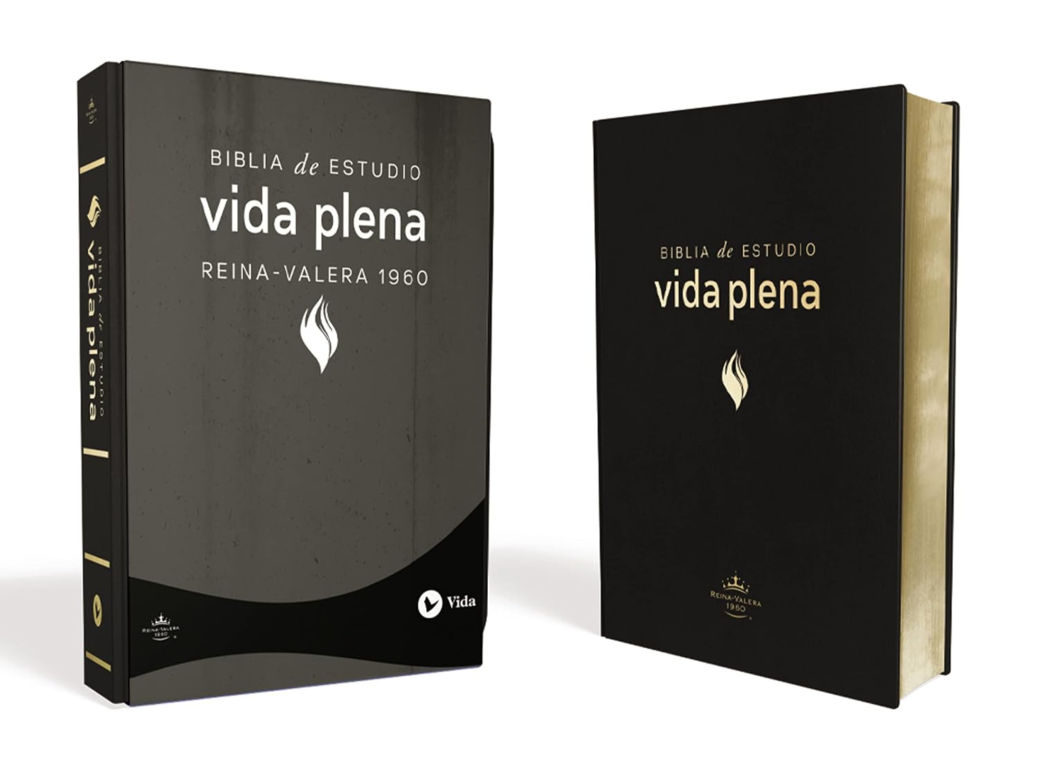 BIBLIA DE ESTUDIO VIDA PLENA - Image 9