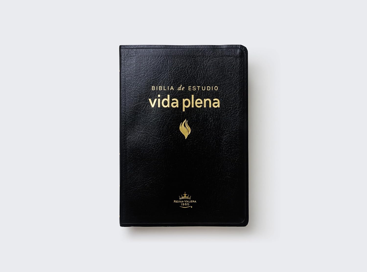BIBLIA DE ESTUDIO VIDA PLENA - Image 7