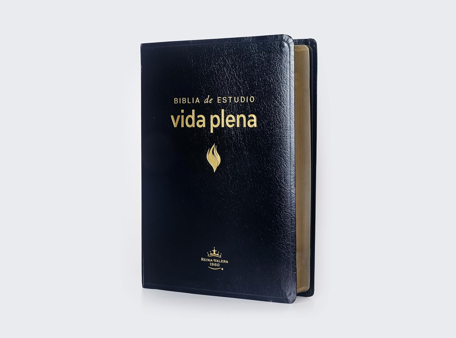 BIBLIA DE ESTUDIO VIDA PLENA - Image 6