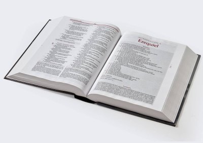 BIBLIA DE ESTUDIO RV1960 VIDA PLENA - Image 3