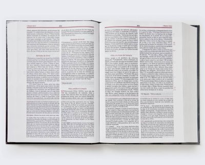 BIBLIA DE ESTUDIO RV1960 VIDA PLENA - Image 2