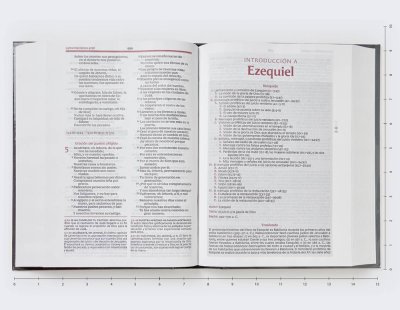 BIBLIA DE ESTUDIO RV1960 VIDA PLENA - Image 4