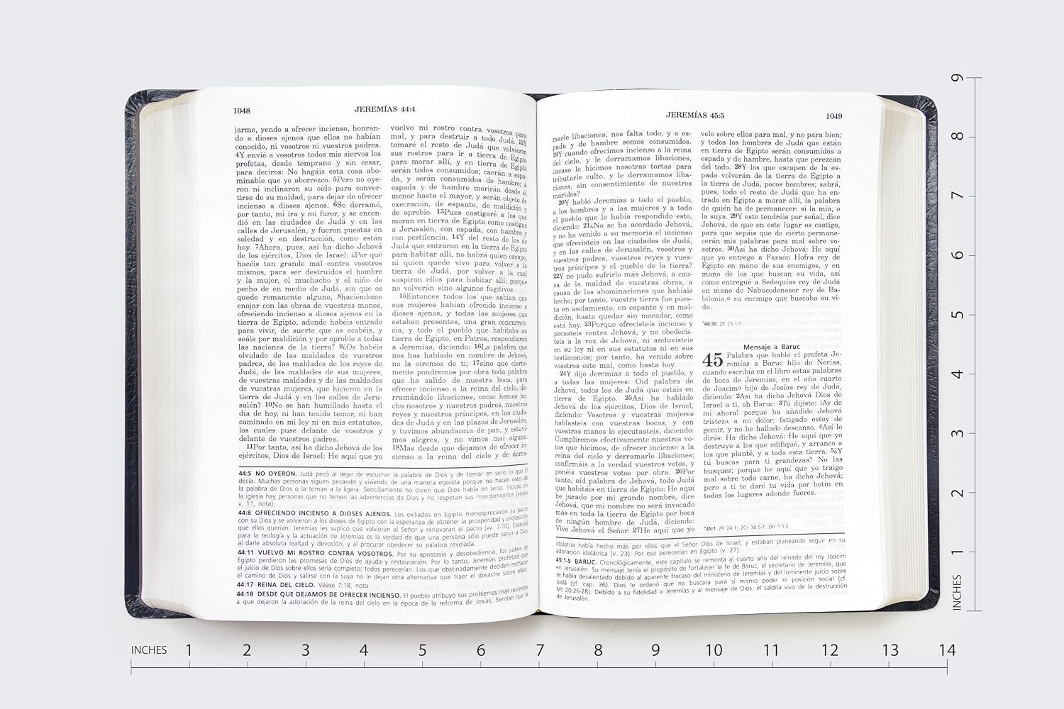 BIBLIA DE ESTUDIO VIDA PLENA - Image 3