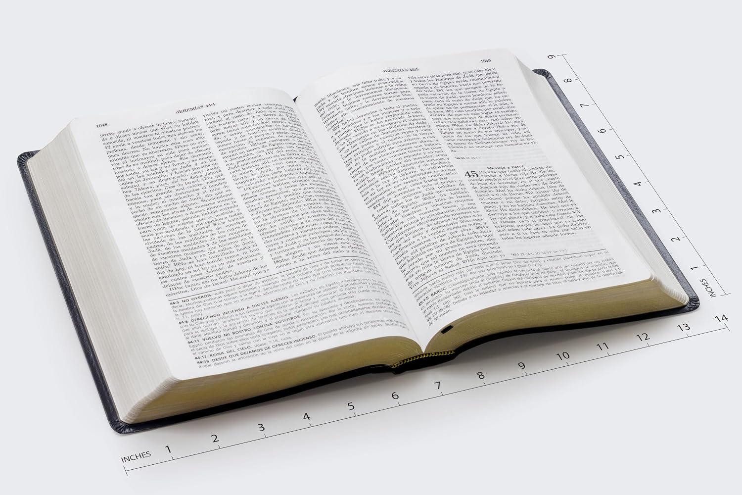 BIBLIA DE ESTUDIO VIDA PLENA - Image 2