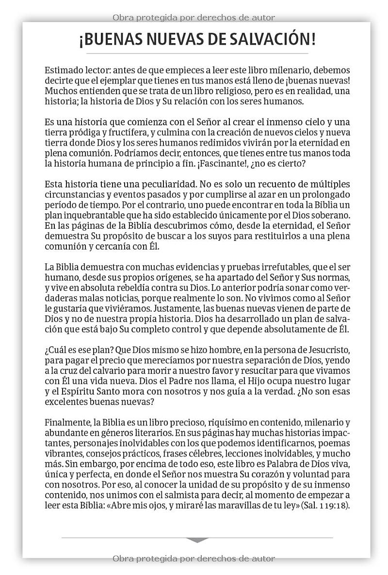 BIBLIA RVR1960 CREDOS Y CONFESIONES LETRA GRANDE - Image 15