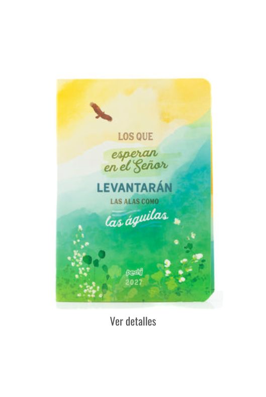 AGENDA PECHI 2027 NUEVAS FUERZAS FLEX