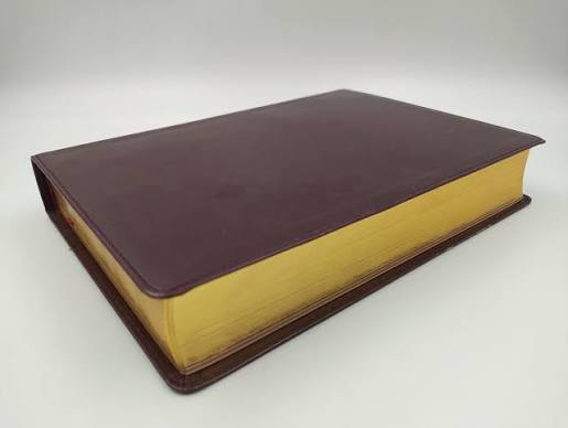 BIBLIA NTV CLASICA LETRA GIGANTE CAFE - Image 7