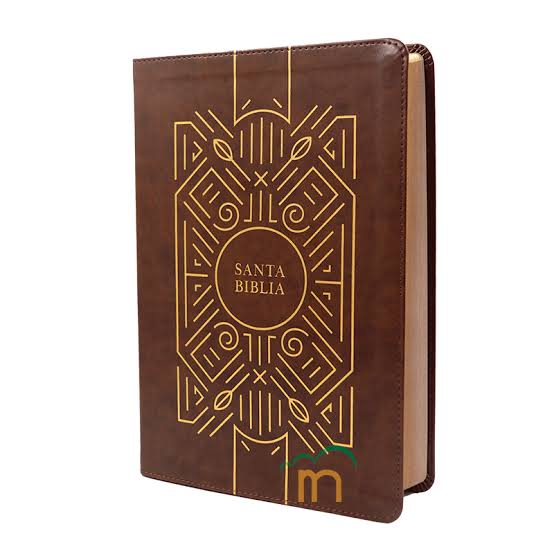 BIBLIA RVR1960 CREDOS Y CONFESIONES LETRA GRANDE - Image 9