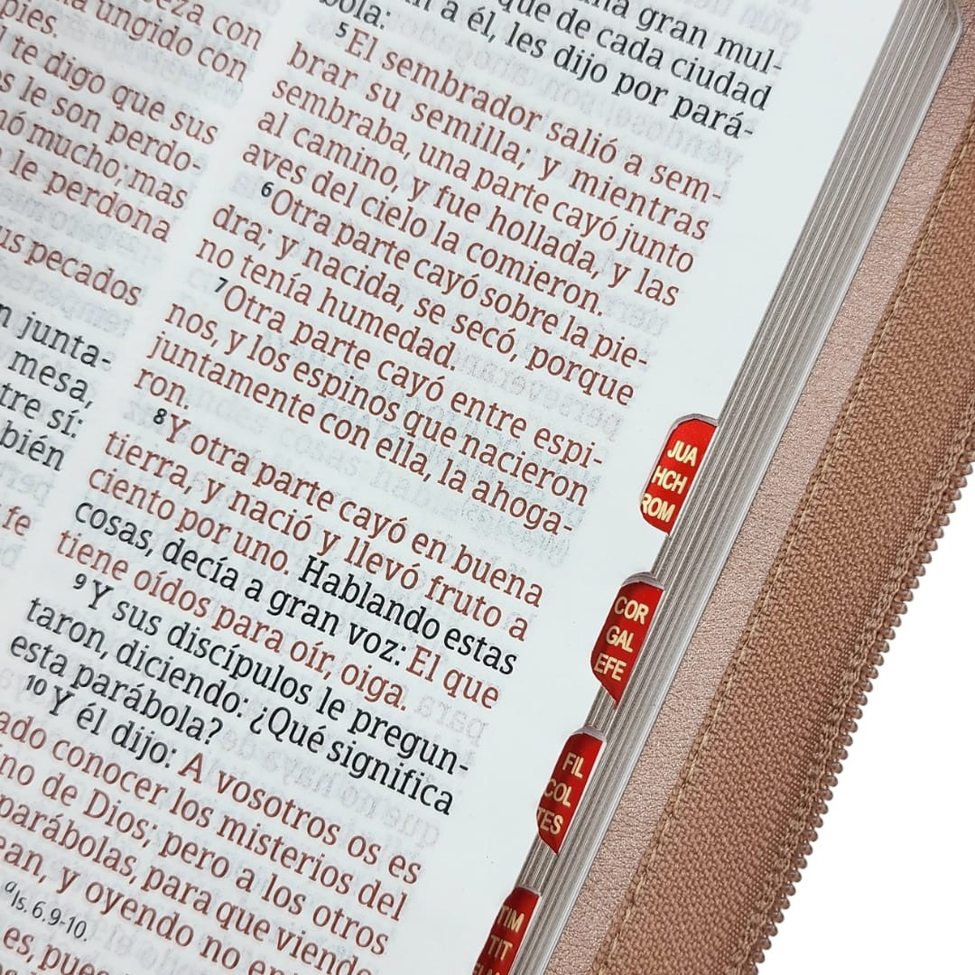 BIBLIA RV1960 LETRA GIGANTE CON CIERRE - Image 6