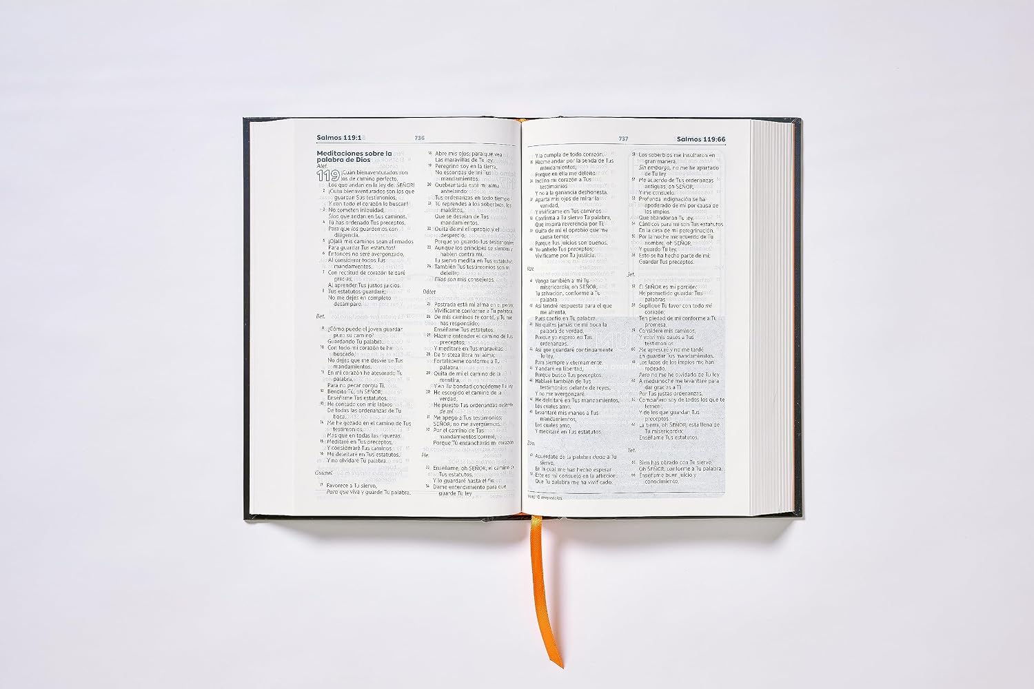 BIBLIA NBLA DE ESTUDIO PARA JOVENES - Image 5