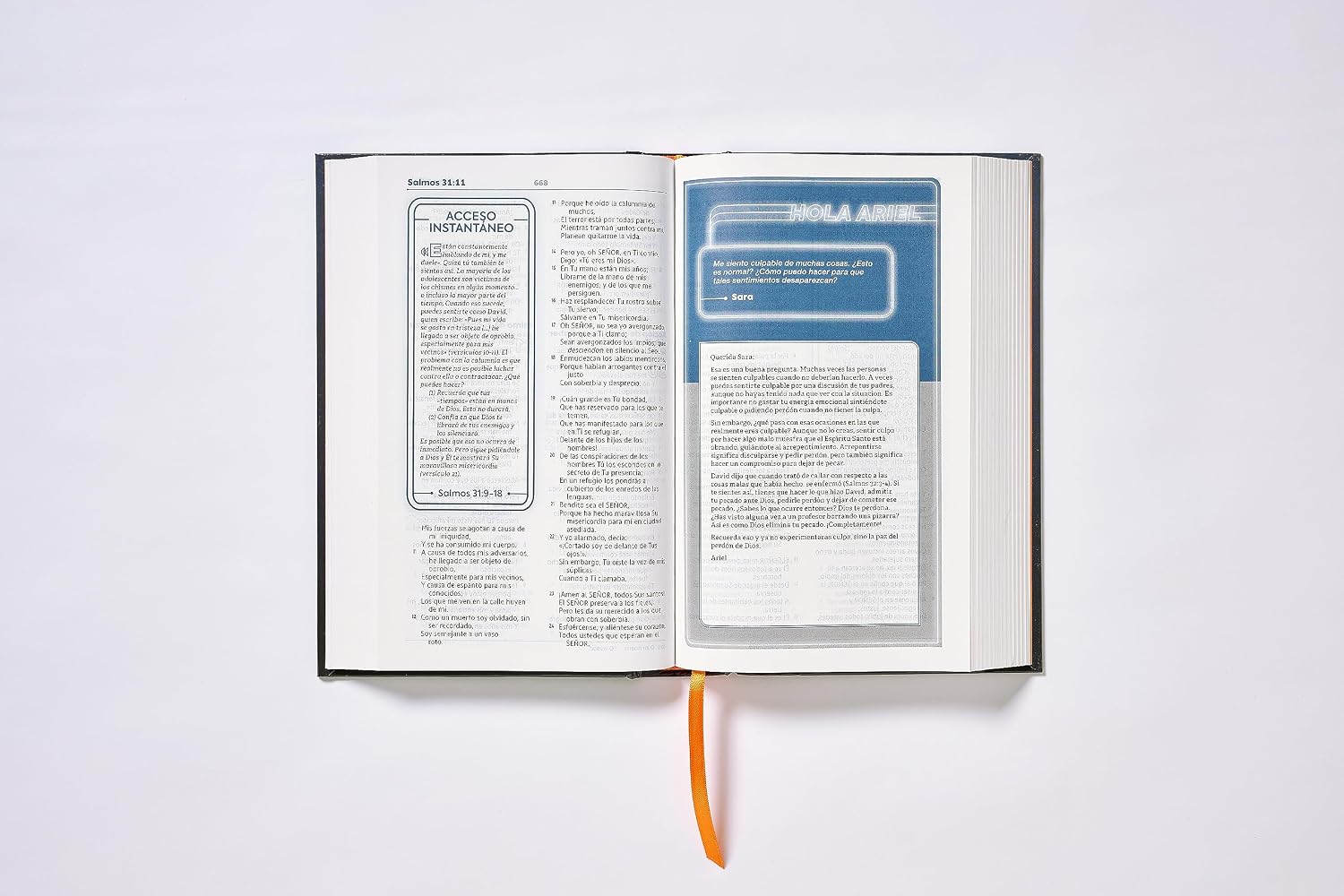 BIBLIA NBLA DE ESTUDIO PARA JOVENES - Image 4