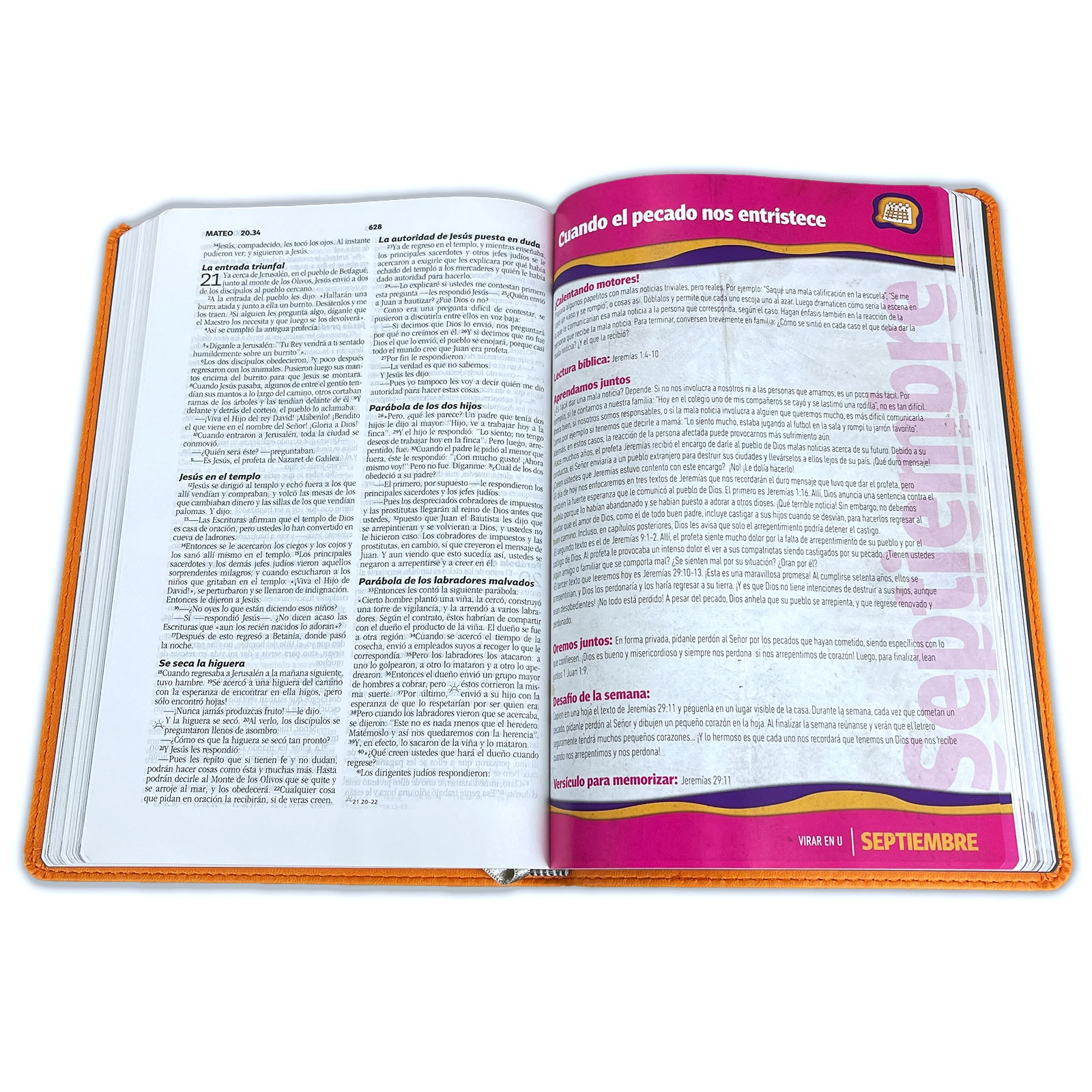 BIBLIA E625 DEVOCIONAL FAMILIAR LUJO - Image 5