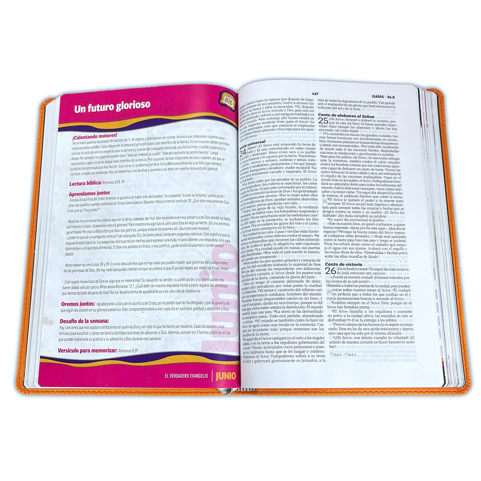 BIBLIA E625 DEVOCIONAL FAMILIAR LUJO - Image 3