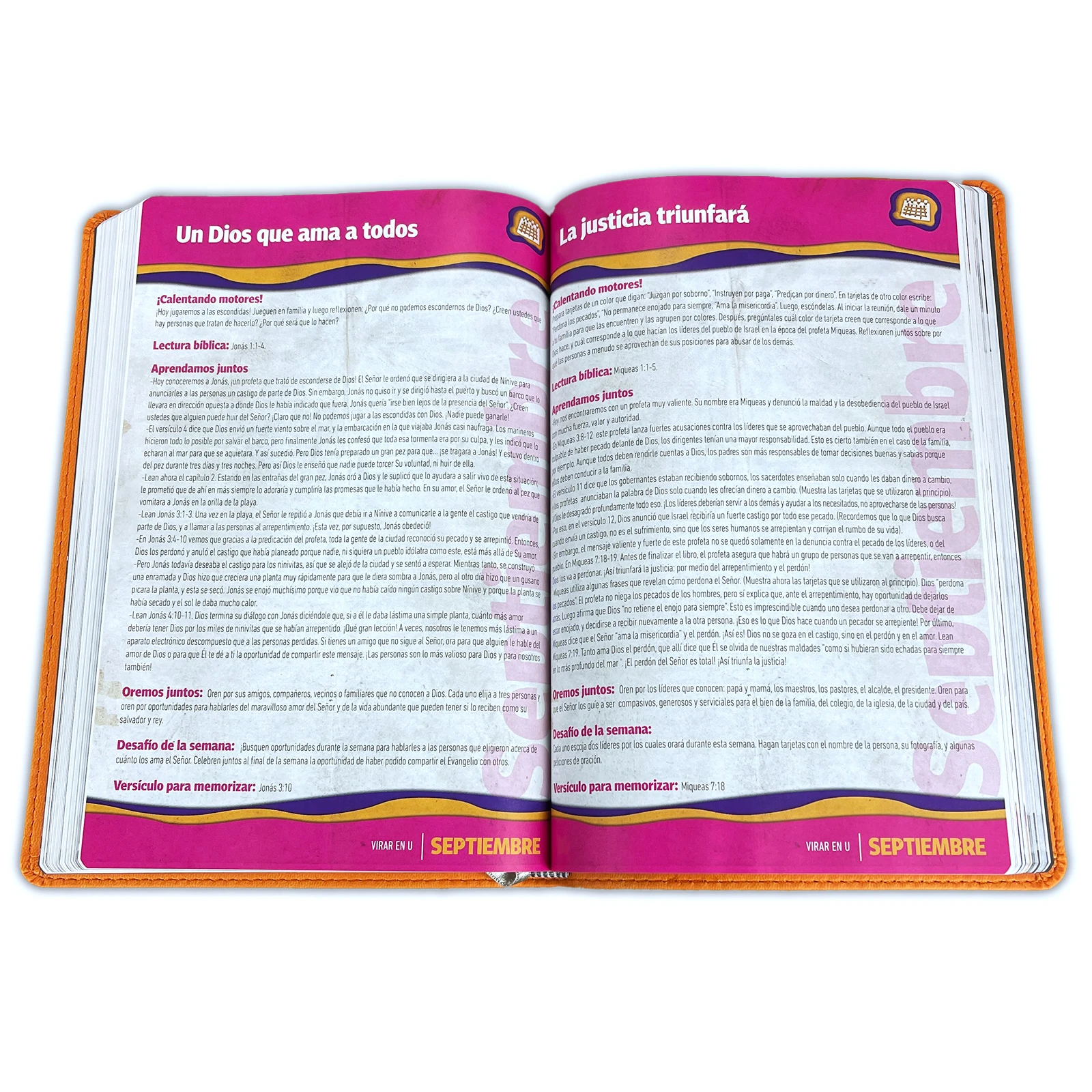 BIBLIA E625 DEVOCIONAL FAMILIAR LUJO - Image 2