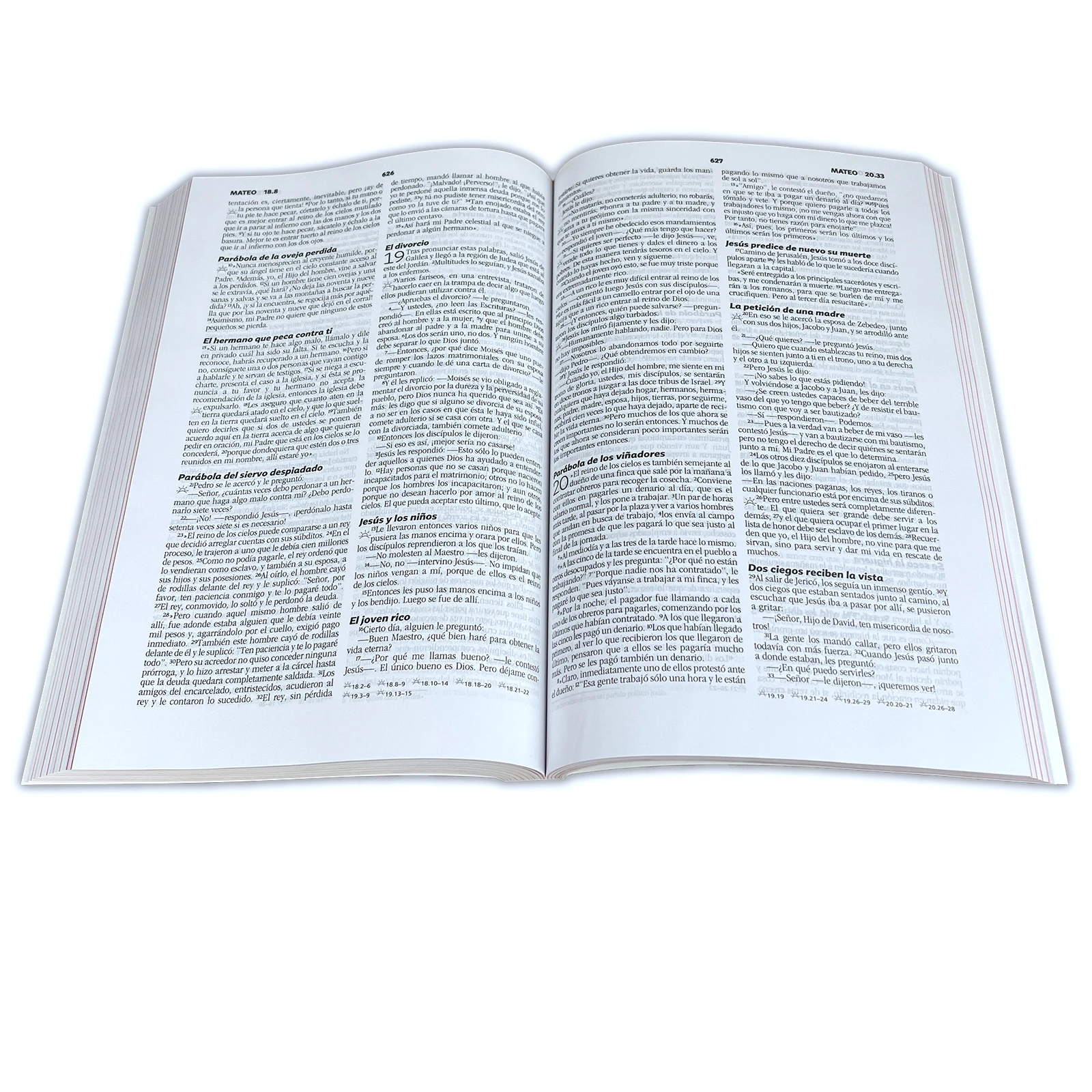 BIBLIA E625 PARA GRUPOS PEQUEÑOS - Image 6